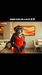 ishowsdailyclip feed 2025-02-24 17.56 DGdabkFIBoa11 AQNT2DjeWPS4EIlGzC5GsgXbAgW5qfMObtpzTzGJtyoJY34RB3tsZLWr4k94nCHvRjQiIHjX-bc0PVH6kDChdt3537hCbxeZmLgZkI.mp4