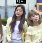 1747055331565744.webm