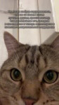 SaveClip.AppAQM46I2LKA7nmrDLtBuIvAVNfygvnnml-iXM-VoTKeZqYNdKi77eNWnyN4gkzQZ7QkVmJVhJIsmnyYPUz3zUchR1wPCBjj46pkTXuI8.mp4