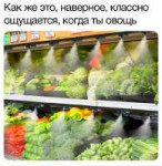 A5URspPpm6ASQ4n4YAHI0b9HiyEx8VEegsks0LkfhRRpxwpl77RN1TGcMC3MYQ8j3pR9FDWnsC51rEMNISmf5ux.jpg