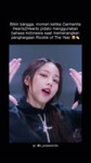 kpopersindo feed 2025-05-29 07.38 DKOWkTfzR-311 AQOLcOaCAvrMEha6f3sGfUE462VNN4qRlLc-BWJ9iLwGTLdp8q5IHIaFfSLzzzwcpb9KIR9AIvgxHFrDtx5rzExrRLXddj215dGC4B4.mp4