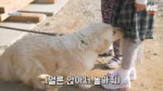 1,2,3 IVE 6 EP.4 [DNASg0NaUWg].webm