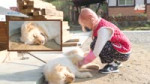 1,2,3 IVE 6 EP.4 [DNASg0NaUWg]-2.webm