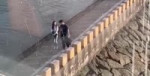 1598777394251.webm