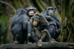 shutterstock741351946-pic32ratio900x600-900x600-64236.jpg