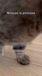 ringodanyan feed 2025-06-06 16.59 DKj7KtbJ7Zy11 AQOubR3ZkikaI4ybK-pDZdJJdAN7IXTKSj7cTvNWlf3PeHToYsAgGCXvtSdqxc21EbYvPIRcRb3TV0S6GsiLcYfLSgVvAnl9zXbEs.mp4