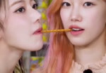 m2-res480p.mp4