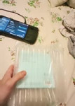petal20250612000932.mp4