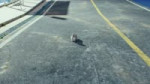 video361.mp4
