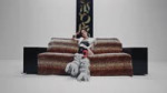 aespa 에스파 Dirty Work Dirty Worker #KARINA.mp4