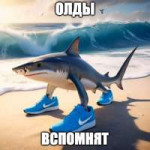 DpfQpAU2op1TzDkb56JJPwAujlii88ZDwZJjcQMKKUCn6m7Fpd6P8O6Qs69z8-ERtvD6WEcHuN2JTjfW4SZu1PO.jpg
