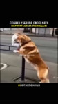motivation.mln feed 2025-06-19 13.40 DLFDu1fM5BV11 AQOyoZ9d0PSJoNtbzBM6Pwb6ofYwD9DZBjFgSFK3LnXH1WXaHAhesd58dCtMFgdB-g9i18yWieEJMT91FZosowyA8iAYROvrbUVk.mp4