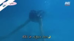 【IVE】當REI親口說想要和你一起游泳...／《跟著REI的一天》 [twPrRDUmPe8].webm