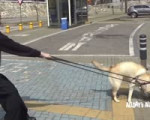 b429a34c5e2f53186803929ea625b8da.mp4