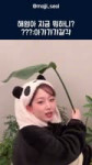해원아 그거 먹는거 아니야 #엔믹스 #해원 #판다 #먹방.mp4