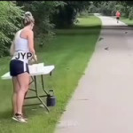 187263425483290.mp4