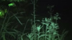 NewJeans () ASAP Official MV.mp4
