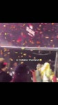a2aab1f771cdfc45069191228d174f37.mp4