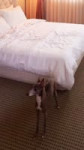 Giselle (51).mp4