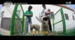 1599498162773.webm