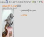 Screenshot2025-07-30-12-48-28-259org.telegram.messenger-edit.jpg