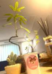 IMG20250730220326664.jpg