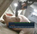16972074263470.png