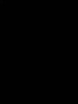 17526953475550.mp4
