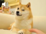 lalala.mp4