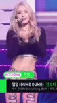 16290225579061.webm