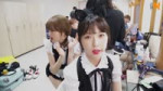 16165302680070.webm