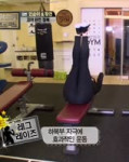 tight 021.webm