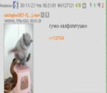 Screenshot2025-08-10-22-52-44-944org.telegram.messenger-edit.jpg