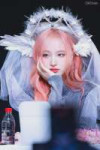 250320-liz-fansite-update-v0-sstzxgkynkif1.webp