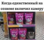 IMG20250813181331064.jpg