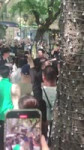 5478e50a18f29ad72bd40b41af56baa2.mp4