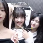 videoplayback.mp4