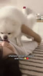 1050925d241f641a66e5cbe6e8da239a.mp4
