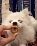 butthole.webm
