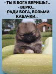 olgasolarjoy feed 2025-08-10 18.17 DNLeFazMhMZ11 53038807318457735530156894291370013414242976n.heic