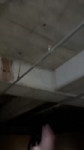 Z5oE4O37DGZi-E4x.mp4