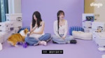 현실판 멍냥이 나타났다!？ 멍멍이 레이와 냥냥이 리즈의 코기 애정 쟁탈전  ｜ [멍냥] 아이브(IVE) 레이, 리즈 [JwBYeJ0-us4].webm