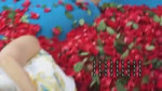 cream.webm
