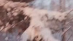 807826754137.mp4
