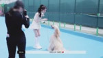 [STAY：SEE] EP.189 [2：LOVE] JK Behind [pcs8hnZjV0].webm