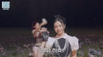1783260078364522.webm