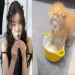 636f4ef3cb7553eecd65e0c83ff08dab.jpg