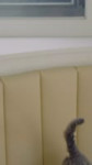 FptskfhzTsBE38wlL3.mp4