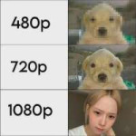 741324509181222576907221296644709003551368998n.webp