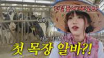 소 먹이고 똥 치우고 착유까지… 아이돌의 리얼 목장 알바🐄 ｜ 농촌알바왕 EP.2 #TYM #세리나 #메이딘.webp
